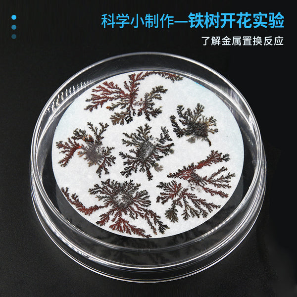 Scientific experiment DIY Iron Tree Blossom Technology Small Production Children's Handmade School Chemical Replacement Reaction Material Package