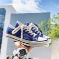 9001 royal blue