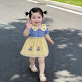 Girls' summer dress - floral lace peter pan collar, fresh blue gingham short sleeve princess dress, children's clothing dress