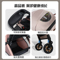 Two-way baby stroller, convertible from upright to reclining, foldable, lightweight, high-view stroller, suitable for ages 0-3 years. dropshipping available