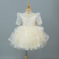 Kids dress flower girl wedding dress wedding host classygirl piano performance catwalk evening dress exportin stock