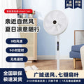 Floor fan electric fan white desktop fan dual-purpose silent vertical circulation fan high wind power office eco-friendly