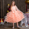 European and american cross-border girls' dresses: mesh vest cake skirt, high-end tutu dress, custom girl's dresses