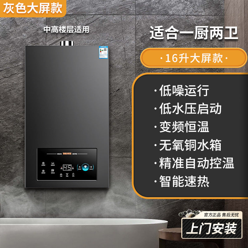 Wholesale royalstar natural gas gas water heater for home13l liquefied gas coal gas forced exhaust gas model 16 liters