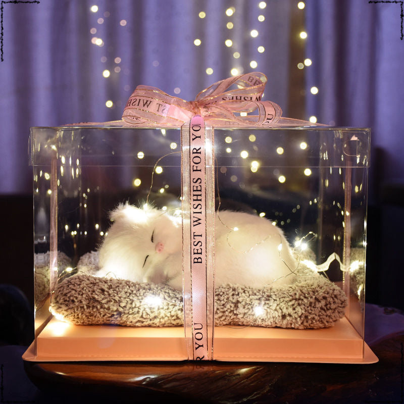 Birthday gifts for girls on Children's Day, children's girlfriends, girlfriends, simulated cats to accompany dolls 61 gift boxes