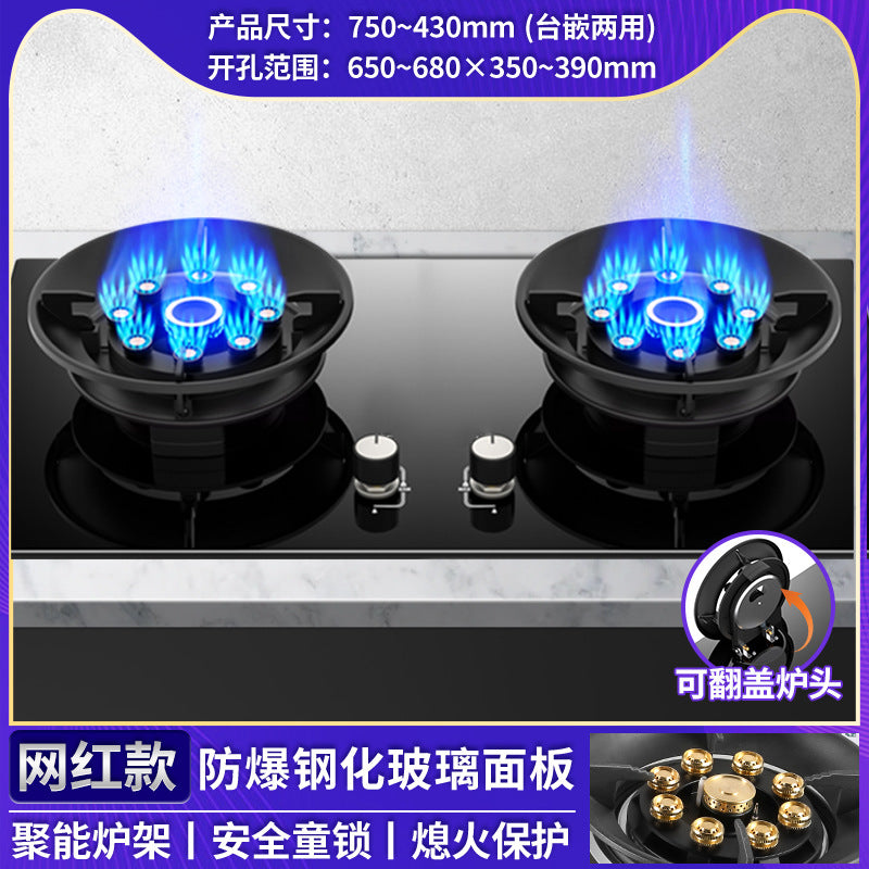 Wholesale royalstar flip-top gas stove double burner for home natural gas gas stove liquefied gas popular magic disc stove