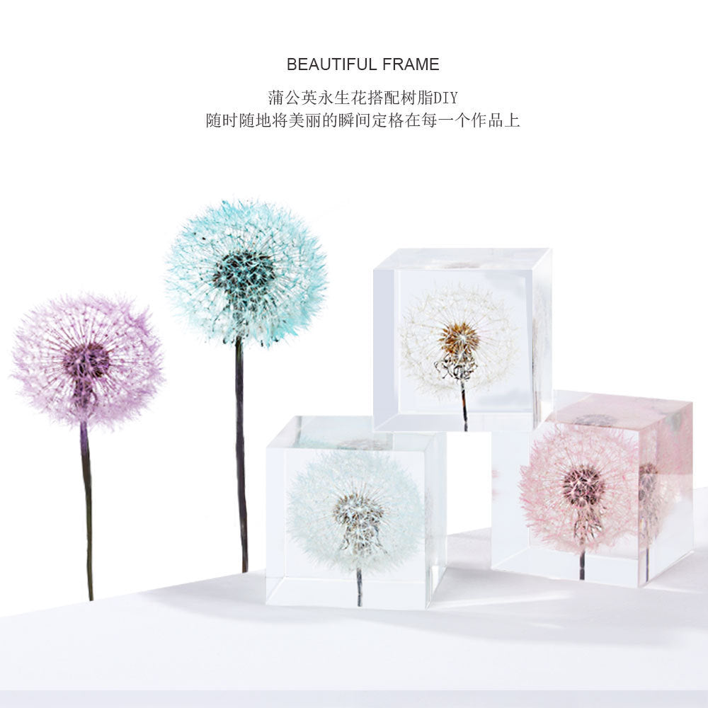 Dandelion flower dried flower immortal flower specimen DIY resin Epoxy flower material decorative bag flower arrangement