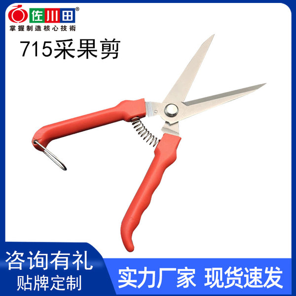 Sakawada 715 multi-functional picking, fruit cutting, grape cutting, dragon fruit cutting, Japanese SK5 imported steel scissors