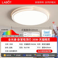 Eye-caring bedroom light, master bedroom 2025 new led ceiling lamp, minimalist modern high-end room light, popular trending style