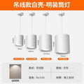 White shell with hanging wire - surface mounted super bright downlight - neutral light 4000k