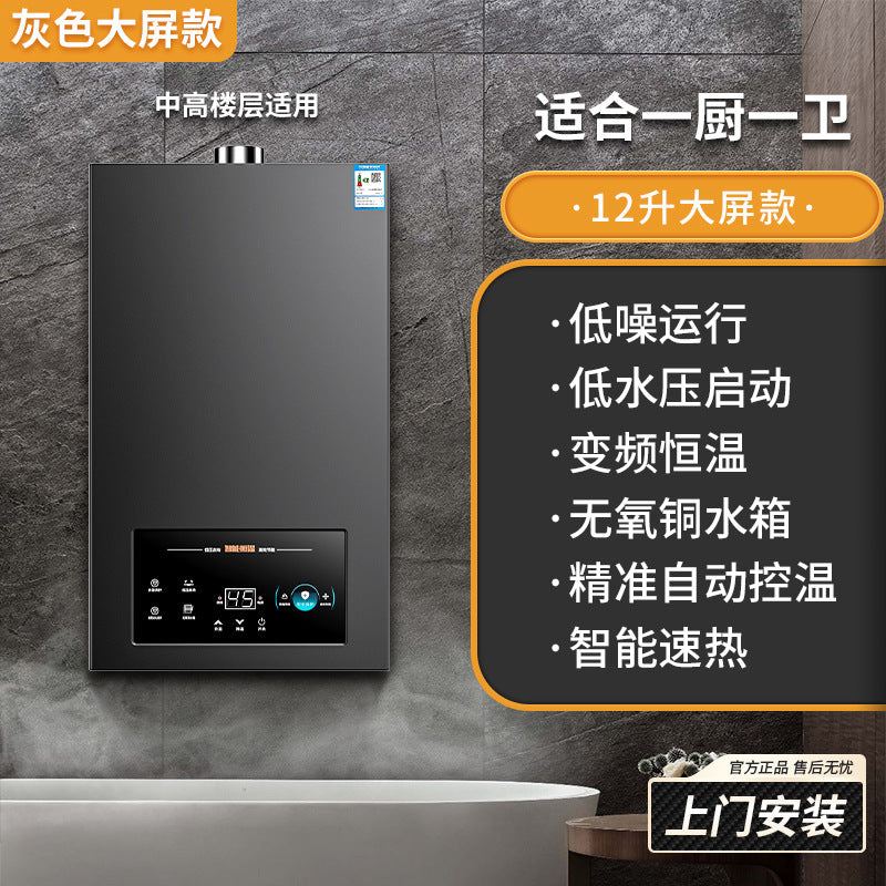 Wholesale royalstar natural gas gas water heater for home13l liquefied gas coal gas forced exhaust gas model 16 liters