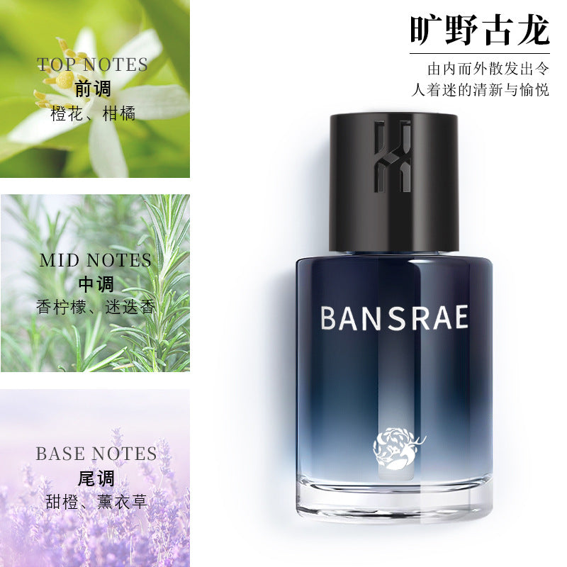Car air freshener - new premium car perfume for men and women - long-lasting, high-end fragrance, sophisticated, flameless diffuser