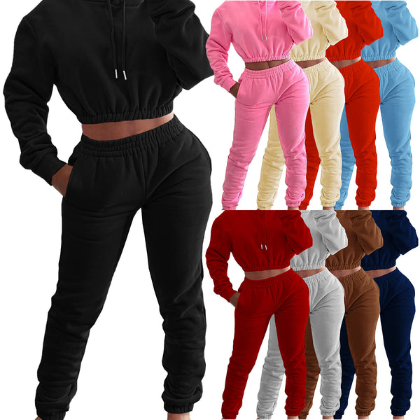 HR8201 European and American women's clothing, spring and winter velvet sports and leisure suit, hoodie + jogging pants two-piece set