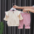 Spring & fallnew arrival infants and young children go out k-stylelong sleevestwo-piece set baby girl style flying sleeves casual elegant suit infant