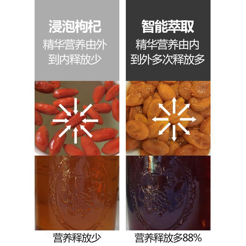 Premium cordyceps extractor: high-efficiency, fully automatic nutrient extraction machine for cordyceps and traditional chinese herbal medicine, beneficial for seniors