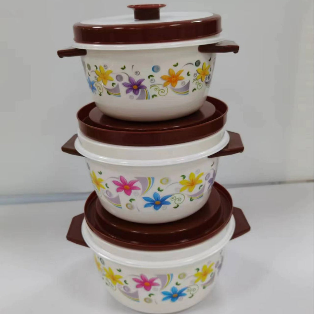 2533 printed plastic shell, inner container, and handle three-piece set insulated lunch box/insulated food container - export quality