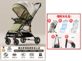 Aoki green [shock absorbing spine protection-double folding model] + gifts