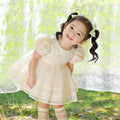 Girls' new birthday party & baby shower lace dress - baby's first birthday performance bow dress - cross-border wholesale