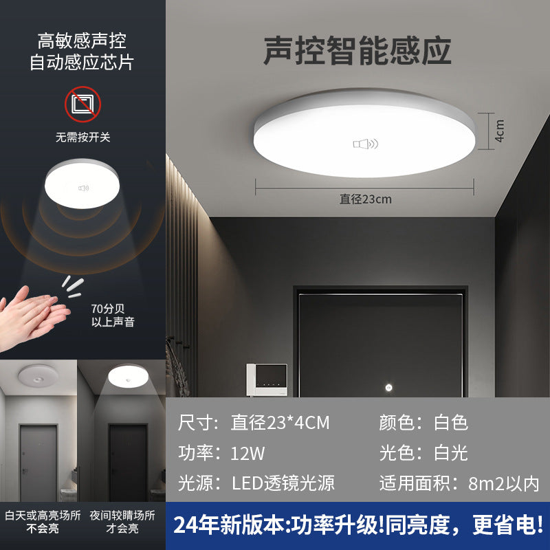 Motion sensor ceiling light - ideal for stairs, hallways, and corridors - infrared human radar sensor, smart voice control