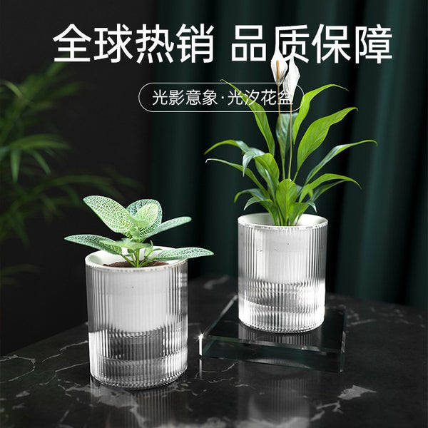 The manufacturer directly approves the lazy green dill automatic water-absorbing flower pot, which can store water, transparent plastic flower pot, and special for green pot potted plants.