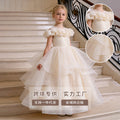 Girls' formal dresses - cross-border european & american style - mesh flower girl dresses - birthday princess dresses - new arrivals for older girls - in stock