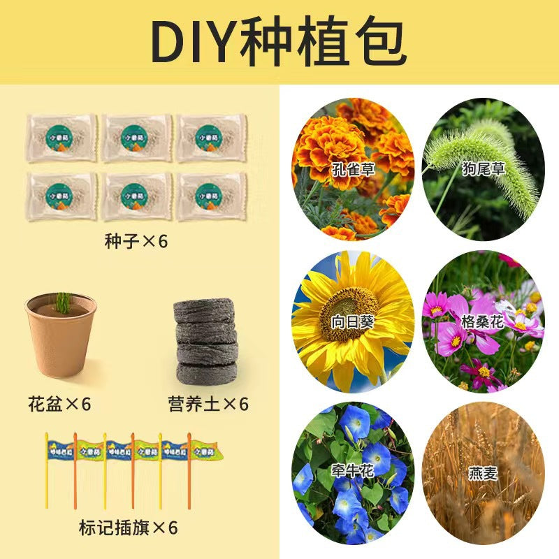 Diy sunroom planting kit for kids: science experiment set for elementary school students - educational toy for boys and girls