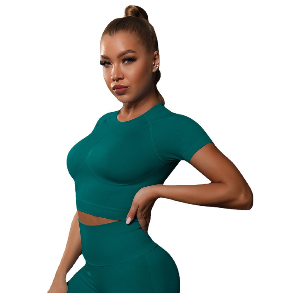 Spring/summer new seamless compression t-shirt short sleeve top yoga wear breathable sweat-wicking running sports fitness apparel