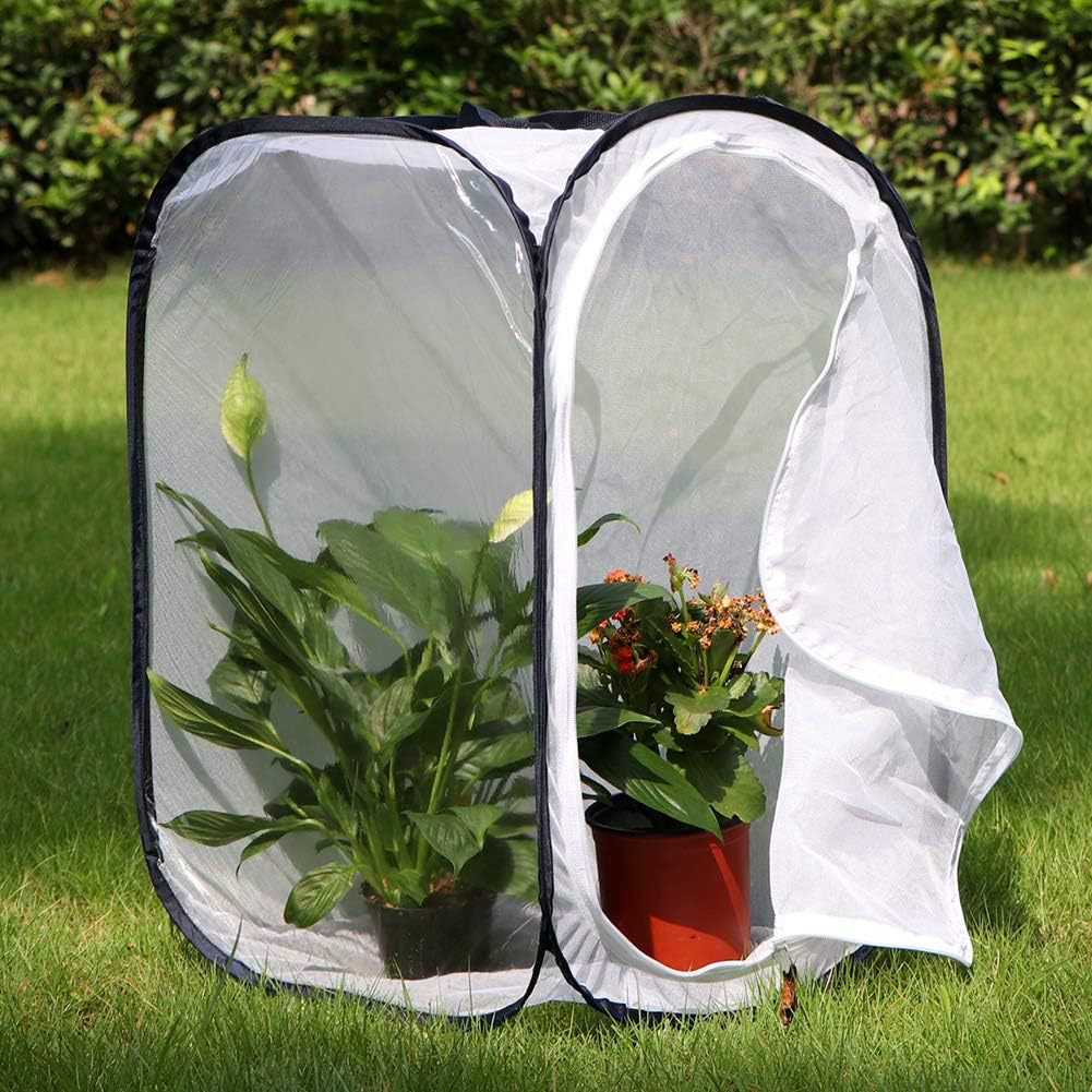 Manufacturer customizes  insect-like mesh fine mesh transparent insect seedling cultivation light-transmitting box foldable butterfly cage