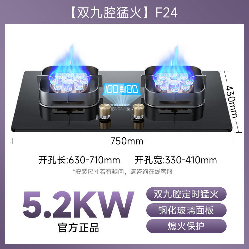 German baeda pure stainless steel 304 thickened large panel gas stove nine-chamber fierce fire table embedded fixed double stove