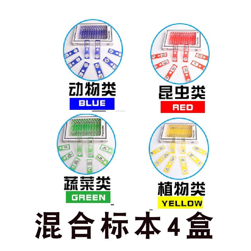 Source kids microscope lens specimen animal plant insect biological slice scientific small production experiment play puzzle