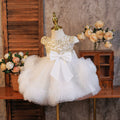 Kids' princess dress, european & american style flower girl sequin tutu, runway performance costume, girls' lace dress - in stock