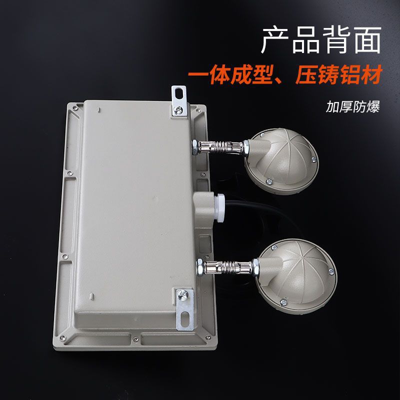 Bastian explosion-proof emergency light multi-functional integrated fire emergency light safety exit indicator light emergency lighting