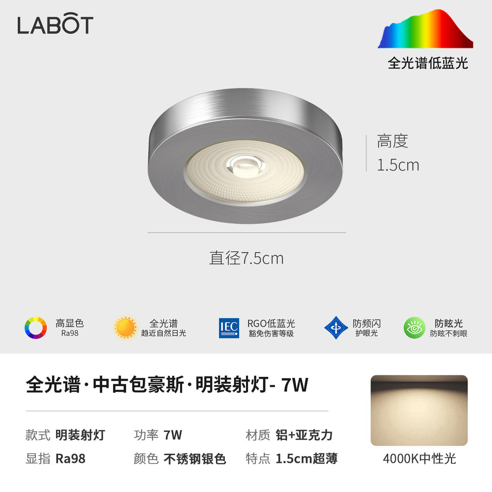 Bauhaus minimalist aisle corridor ultra-thin surface-mounted downlight spotlight retro industrial style anti-glare ceiling fixture (no main light)