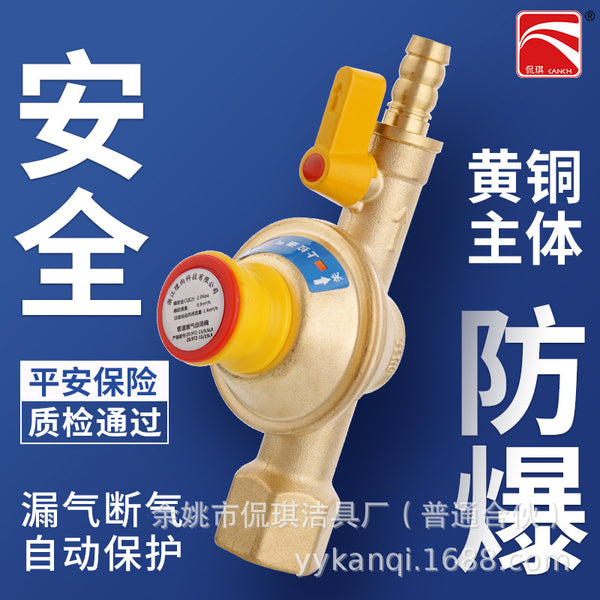 Gas pipe self-closing valve automatic gas cut-off natural gas stove front valve water heater air leakage overpressure protection gas valve household