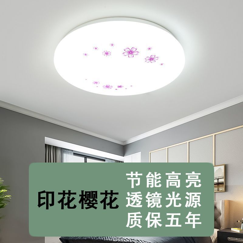 Led ceiling light bedroom lamp home round study minimalist living room lighting fixture dining room hallway kitchen bathroom lighting