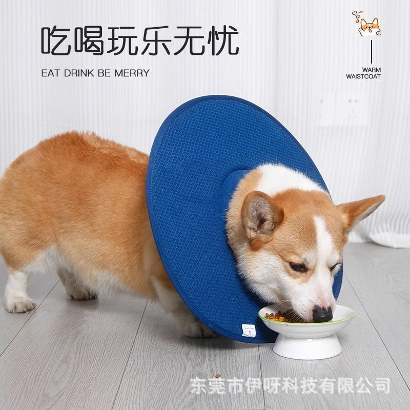 Elizabethan collar for cats and dogs, post-surgery anti-licking, anti-scratching, anti-biting collar, headgear, neutering collar, pet shield, special