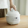 German brand fully automatic electric slow cooker, bird's nest steamer, ceramic baby food pot, soup maker, bb porridge cooker - cross-border e-commerce product
