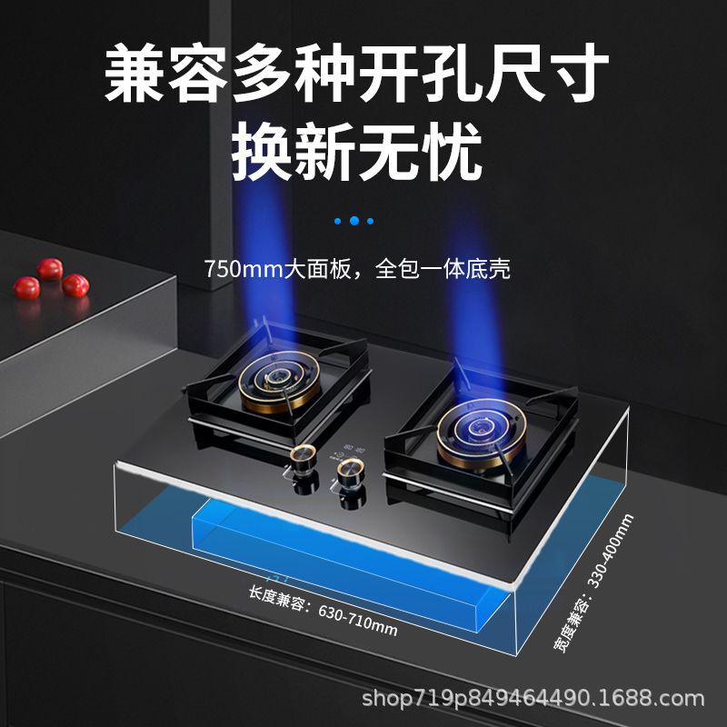 German brand high-power stove, home double burner gas stove, lpg stove, countertop natural gas stove, gas cooktop