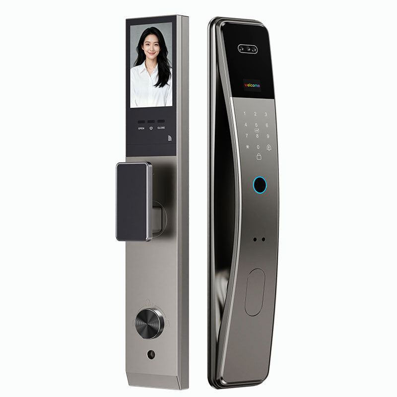 Face recognition fingerprint password lock anti-theft door for home smart lock door lock entrance door lock factory source wholesale