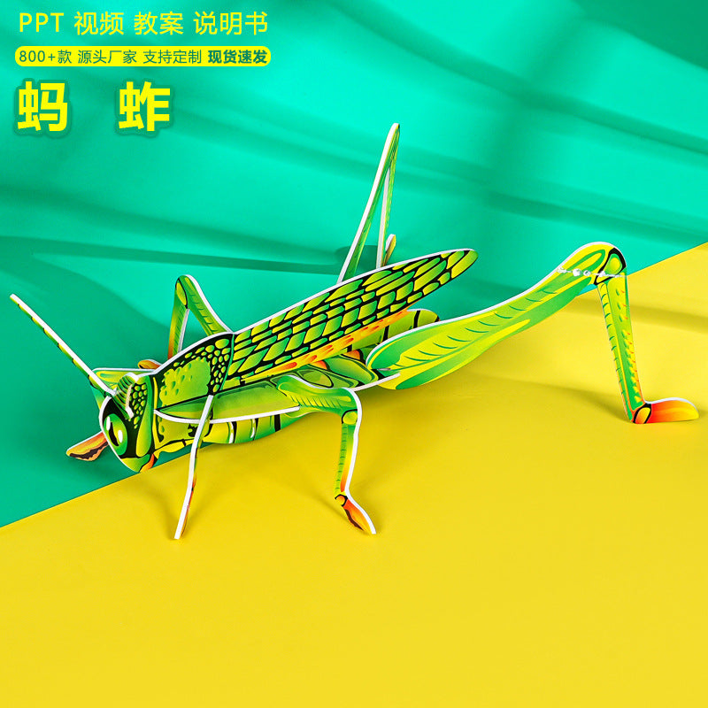 KT grasshopper, technology small production handmade DIY splicing primary school students insect cognition science education science experiment package