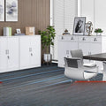 Office filing cabinet, metal cabinet, low cabinet, financial information file cabinet, floor-standing lockable storage cabinet, computer desk side cabinet