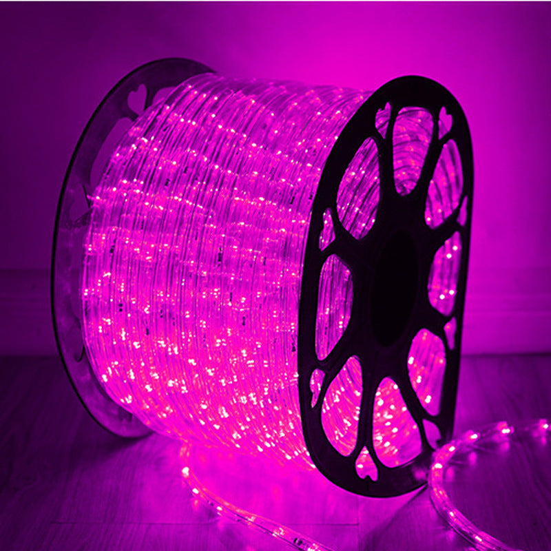 Lighting light strip hotel B & B LED rainbow tube round two-wire light festival decoration flexible outdoor ambient light super bright