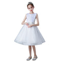 Export toddler kids dress sequinlace princess dress baby girl birthday dressbaby dress