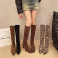 High-heeled women's boots, pointed toe, leopard print, over-the-knee boots, slimming look, elastic boots, fashioneasiest for match long boots, cross-border