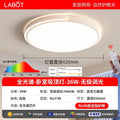 Eye-caring bedroom light, master bedroom 2025 new led ceiling lamp, minimalist modern high-end room light, popular trending style