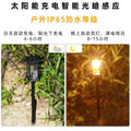 2026 new solar outdoor lights - waterproof decorative garden stake lights for home, patio, and lawn