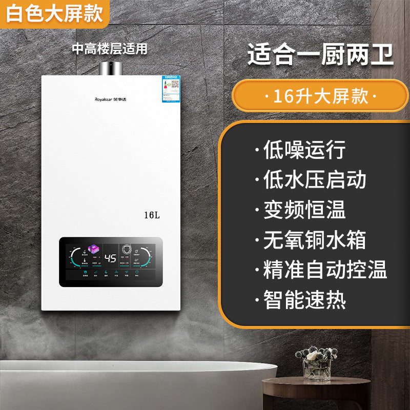 Wholesale royalstar natural gas gas water heater for home13l liquefied gas coal gas forced exhaust gas model 16 liters