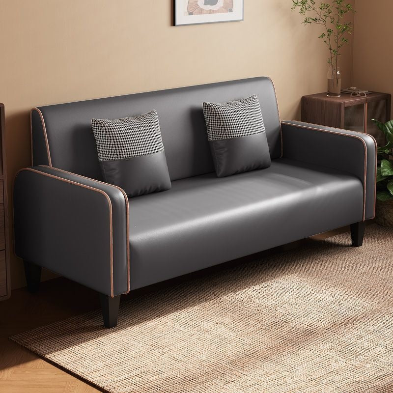 Accessible luxury fabric sofa apartment small apartment living room sofa no-wash technical cloth double three-person simple small sofa wood