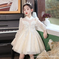 New girls' export dresses: long-sleeved mesh autumn/winter princess dresses for children - wholesale for hosts and piano performances