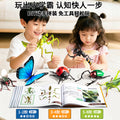 Children's realistic insect model 4d assembly educational animal toy - butterfly, bee, mantis - early education cognitive gift for boys